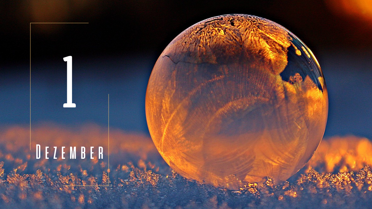 ADVENTSKALENDER 2023 - A20-Nie